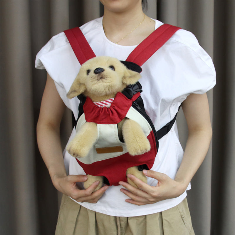 Reizen met huisdieren Leg-out rugzak