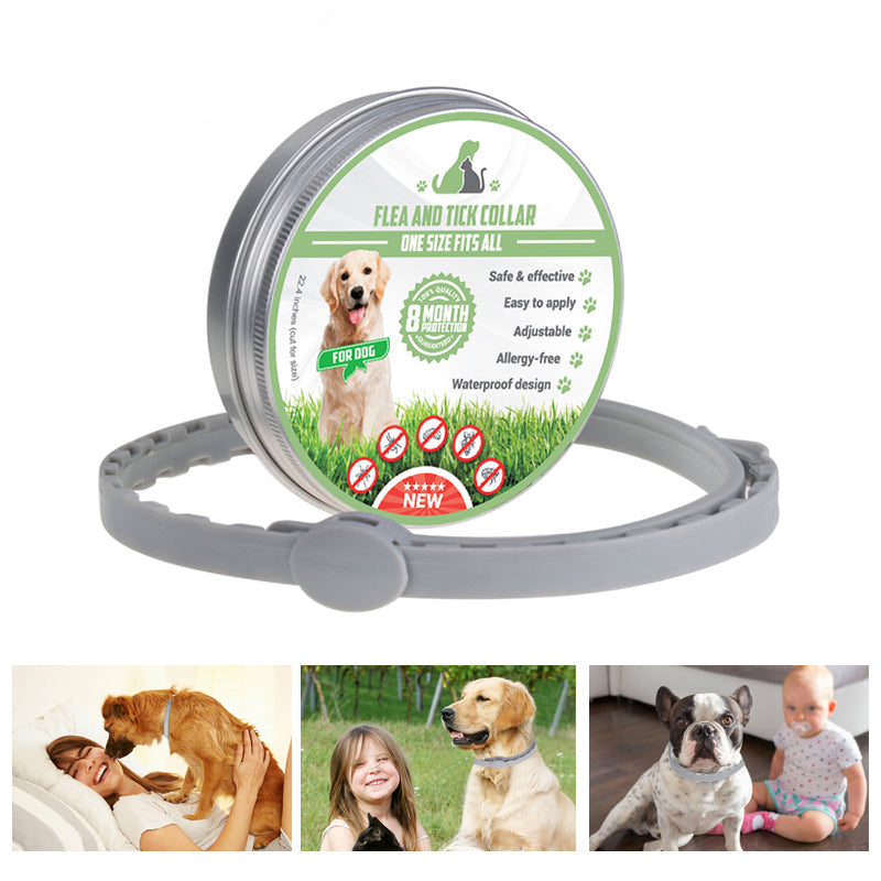 Pro Guard vlooien- en tekenhalsband voor honden