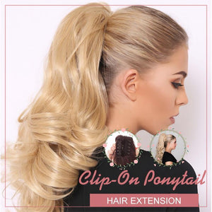 Clip-on paardenstaart