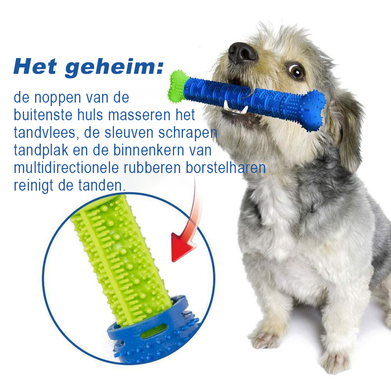 Honden Kauwborstel Tandenborstel | Tandenreinigingsspeelgoed