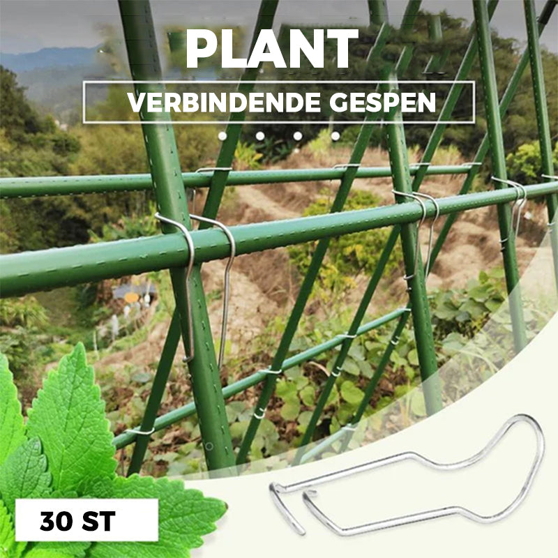 Plant verbindende gespen