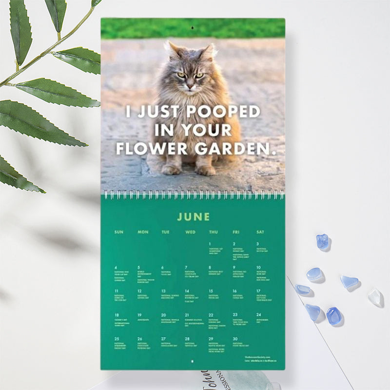 😾Kalender voor pissige katten 2024