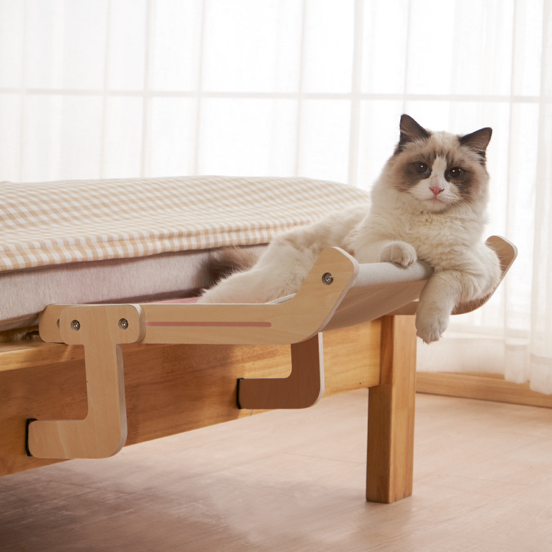 Kattenmand voor het raam