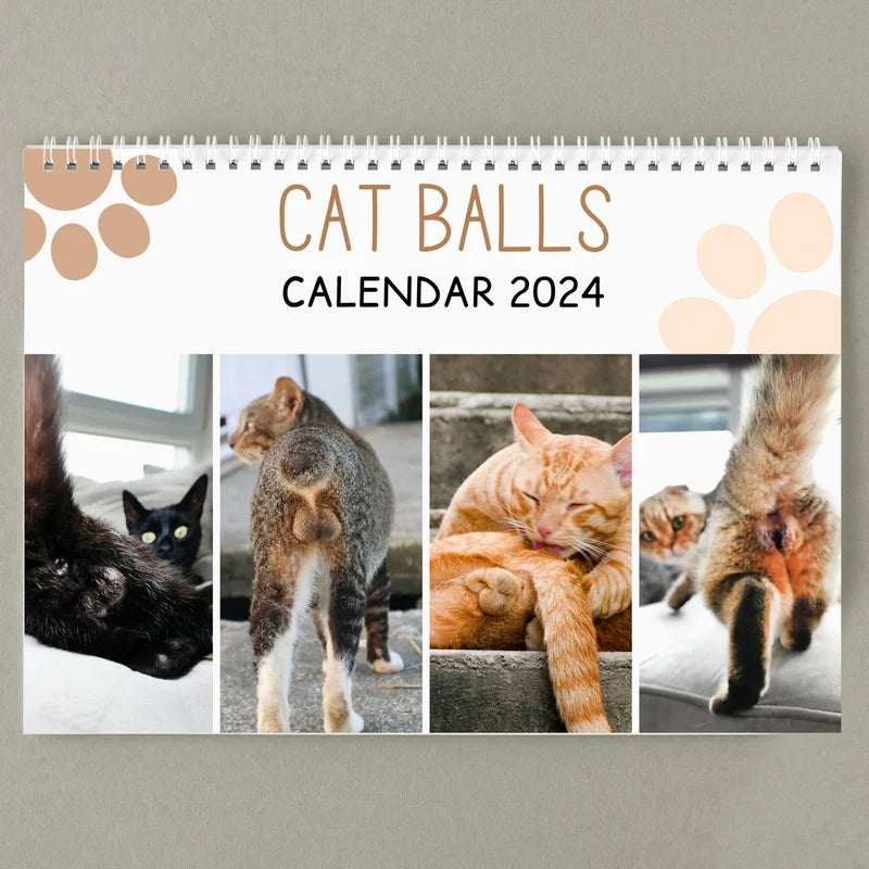Grappige kattenballen kalender 2024