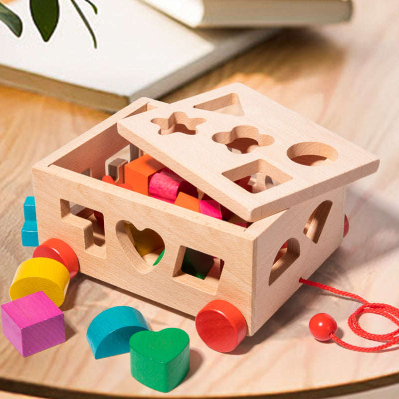 De Cube Car Houten Speelset (15 Vormen)
