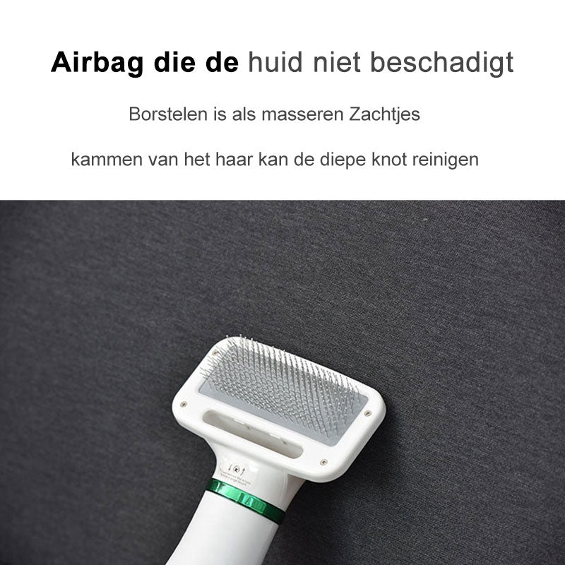 Huisdier Föhn Borstel