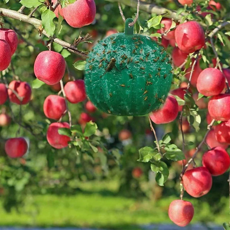 Opknoopbare Milieuvriendelijke Fruitvlieg Kleefvallen