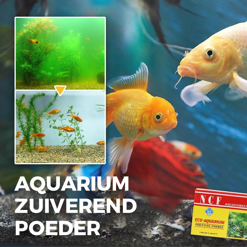 Aquarium zuiverend poeder