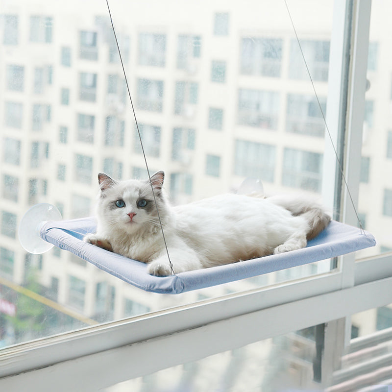 Dierbenodigdheden Zuignap Kat Hangmat