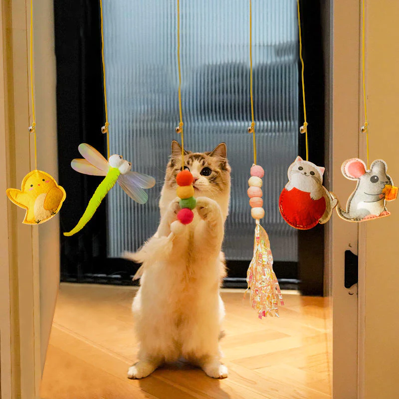 Hangend stuiterend katten speelgoed