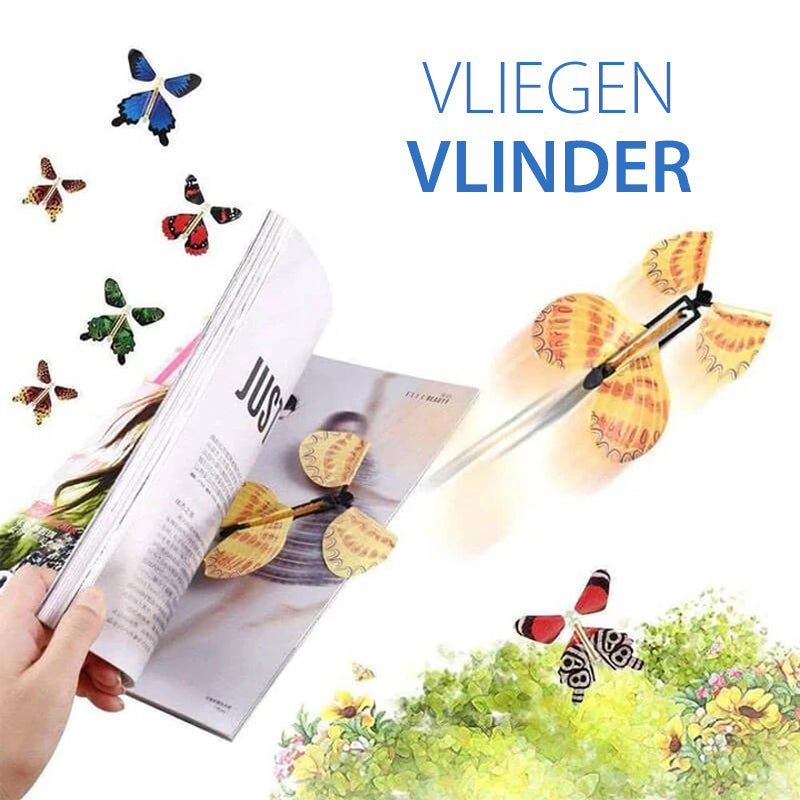 De magische vliegende vlinder