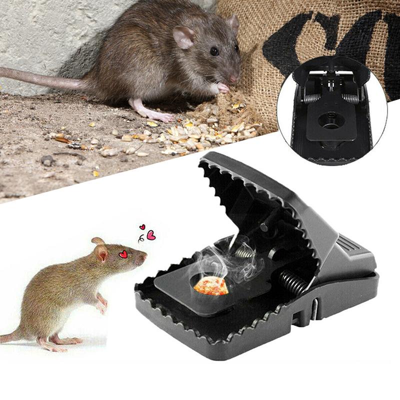 Herbruikbare vallen Ratten vangen