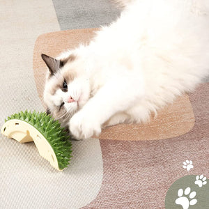 Durian Pet krab- en ontharingsspeeltje