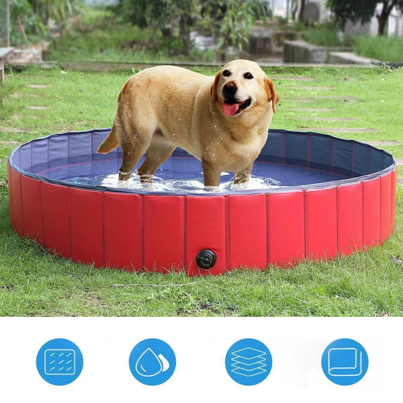 Draagbare Paw Pool
