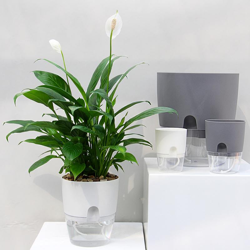 Zelfbewaterende hydrocultuur bloempot