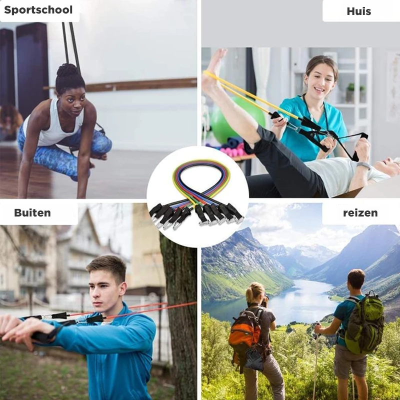 11-delige Weerstandsbandenset