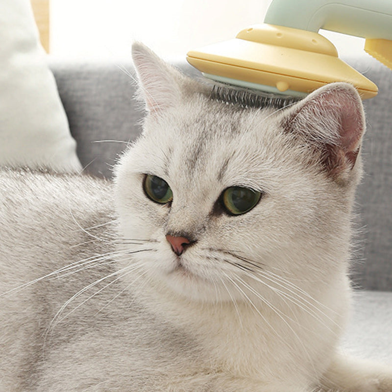 Katten haar verwijderingsborstel Naaldkam