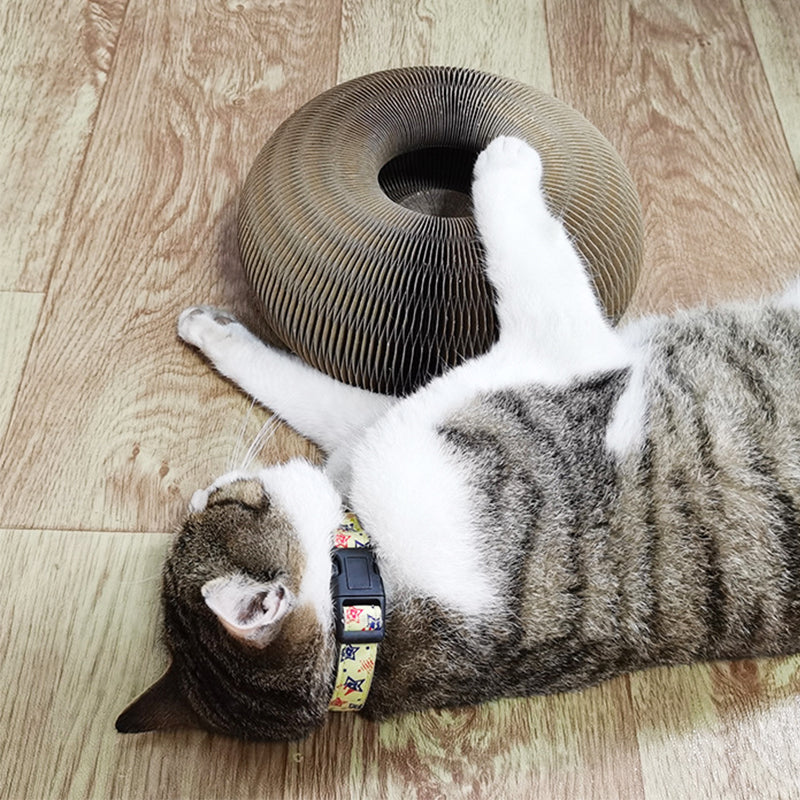 Krabplank voor katten met magische accordeon