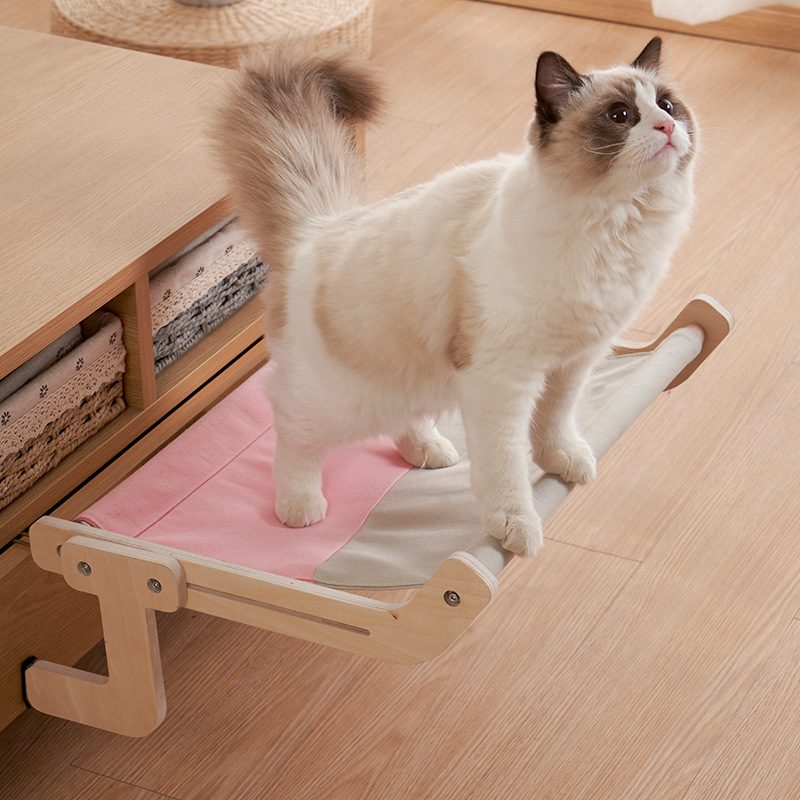 Kattenmand voor het raam