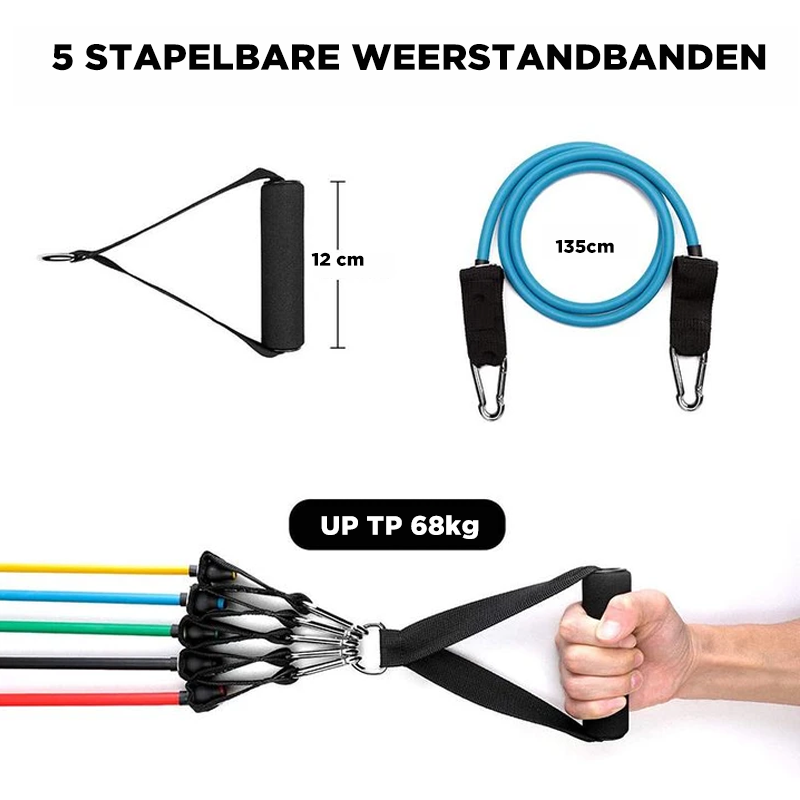 11-delige Weerstandsbandenset