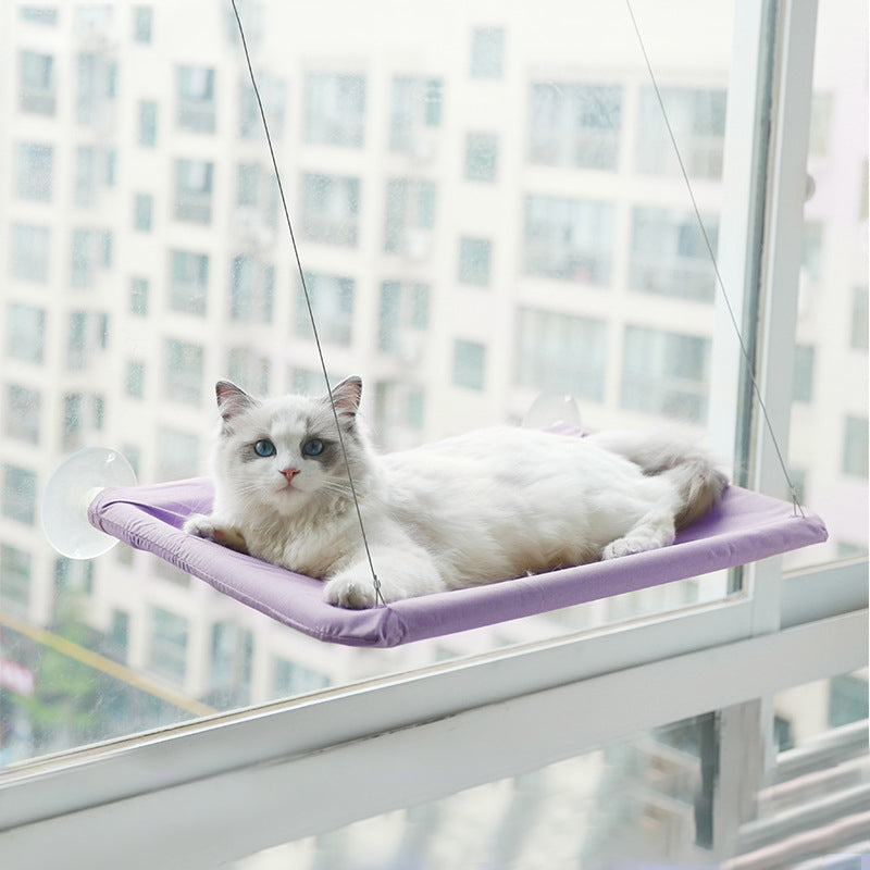 Dierbenodigdheden Zuignap Kat Hangmat