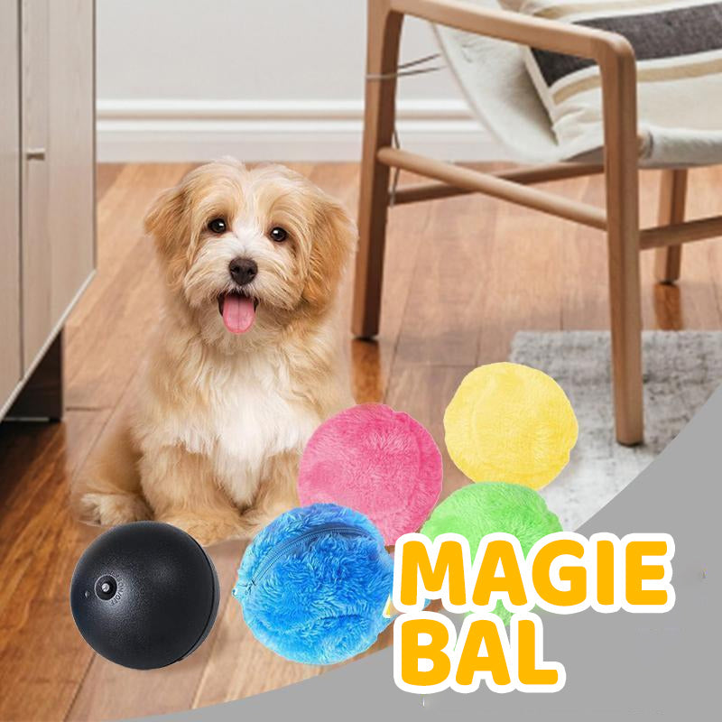 Magische bal voor honden