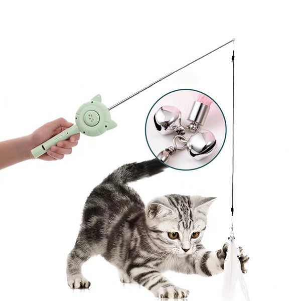 Intrekbare katteaser huisdierenkam