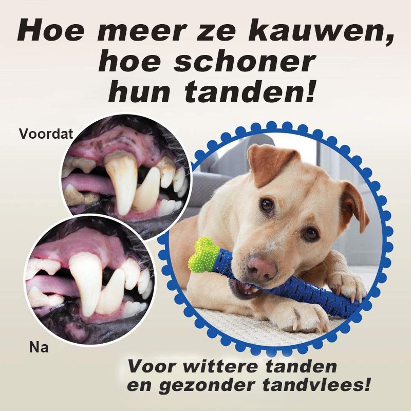 Honden Kauwborstel Tandenborstel | Tandenreinigingsspeelgoed