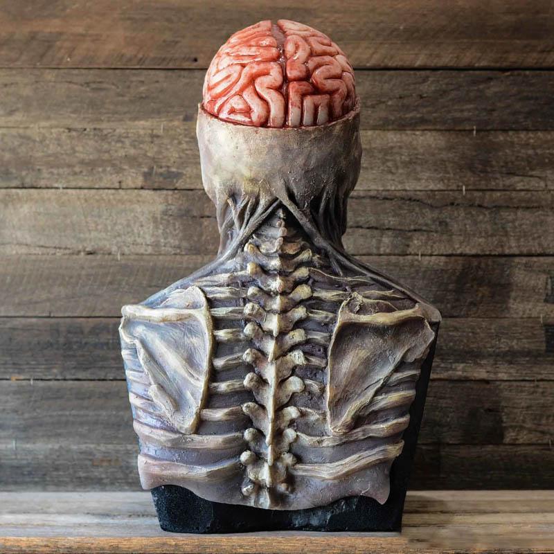 Verschrikkelijke skelet bioman masker