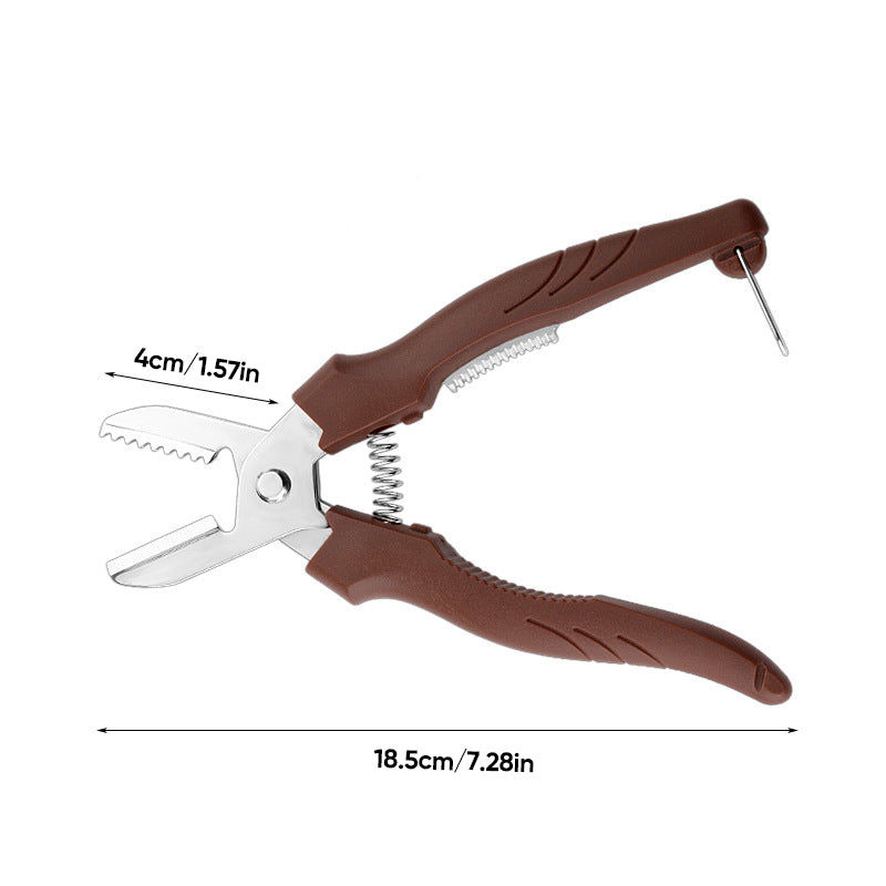 Walnoot Kastanje Moer Shell Opener