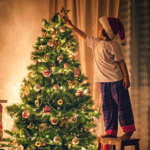 Twinkle Star 300 LED Raamgordijn Snoerlamp