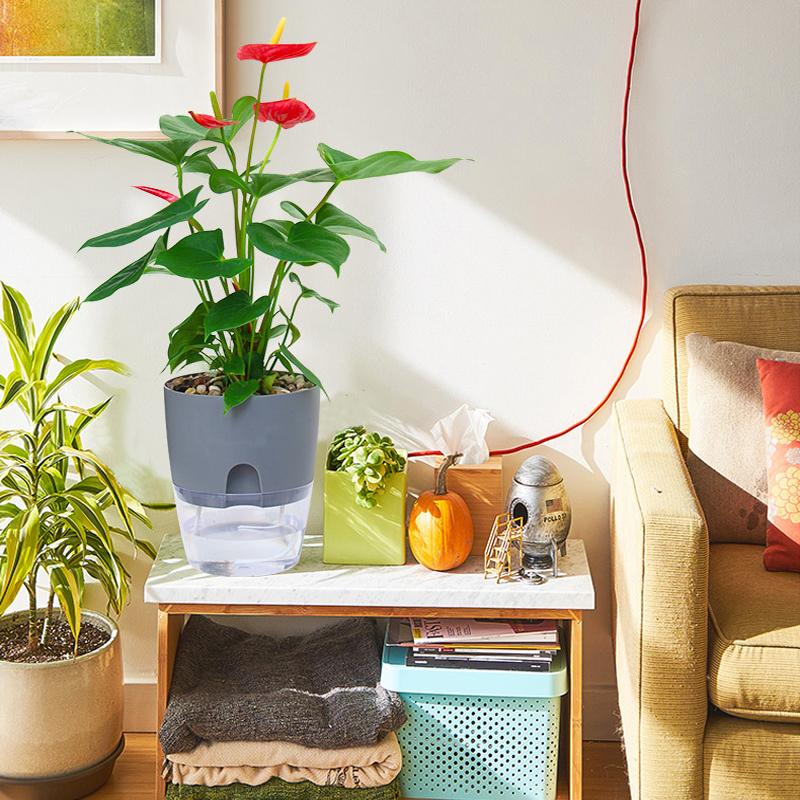 Zelfbewaterende hydrocultuur bloempot