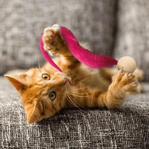 Wiggly Kattenspeelgoed met Bellen