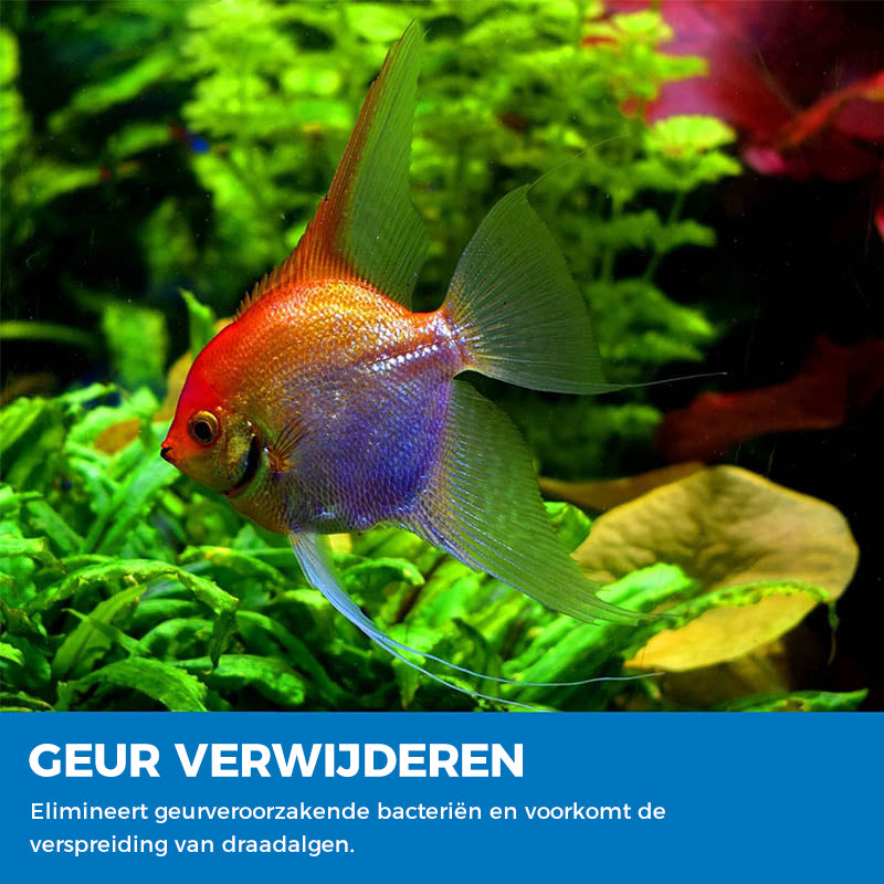 Aquarium zuiverend poeder