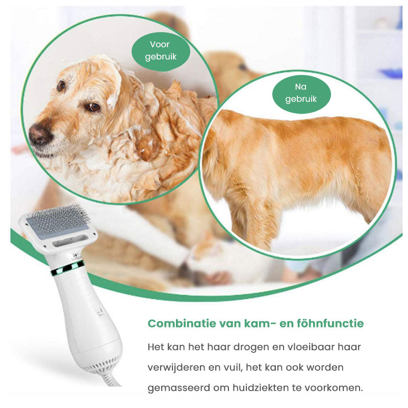 Huisdier Föhn Borstel