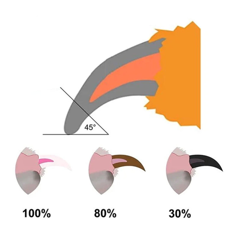 Nagelknipper voor huisdieren met LED-lampje en nagel opberg doos