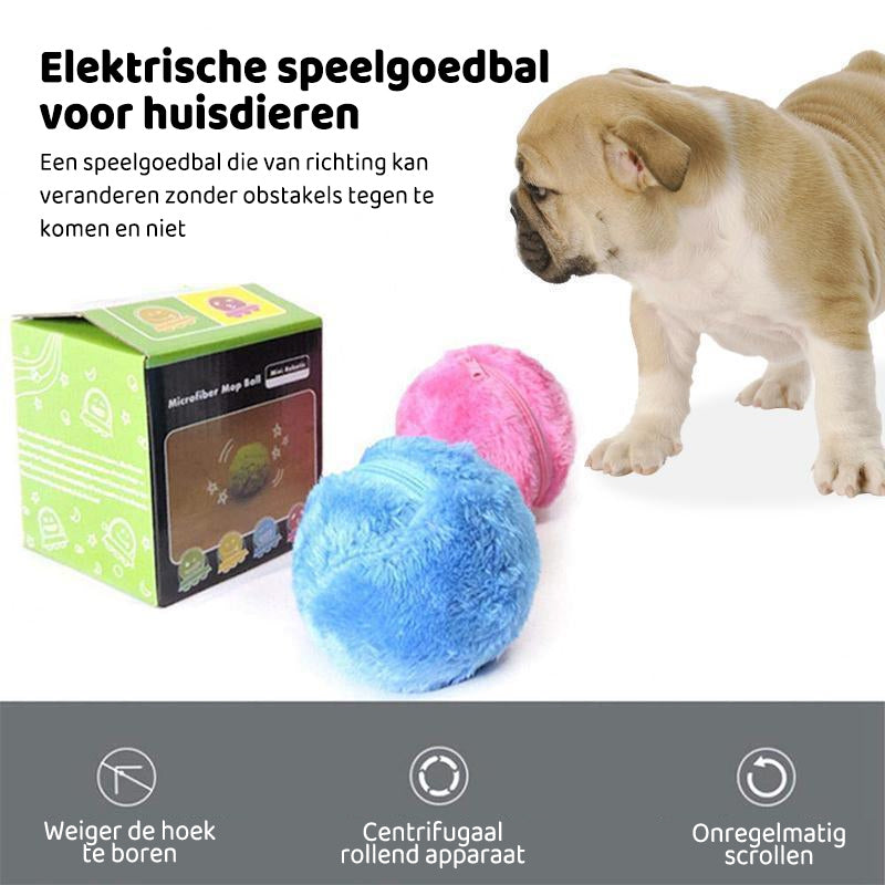 Magische bal voor honden