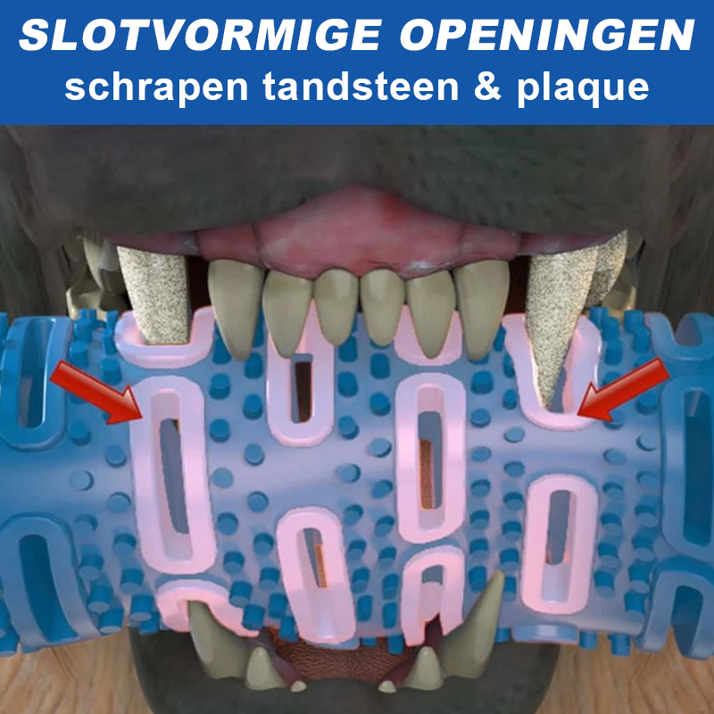 Honden Kauwborstel Tandenborstel | Tandenreinigingsspeelgoed