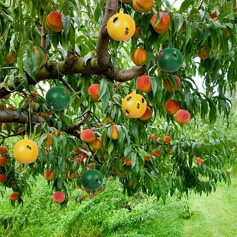 Opknoopbare Milieuvriendelijke Fruitvlieg Kleefvallen