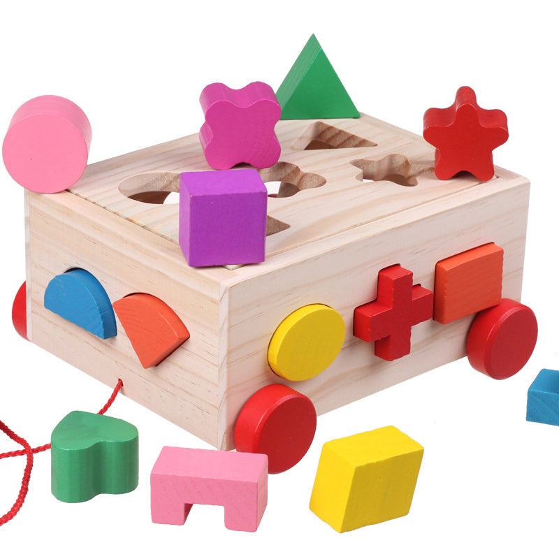 De Cube Car Houten Speelset (15 Vormen)