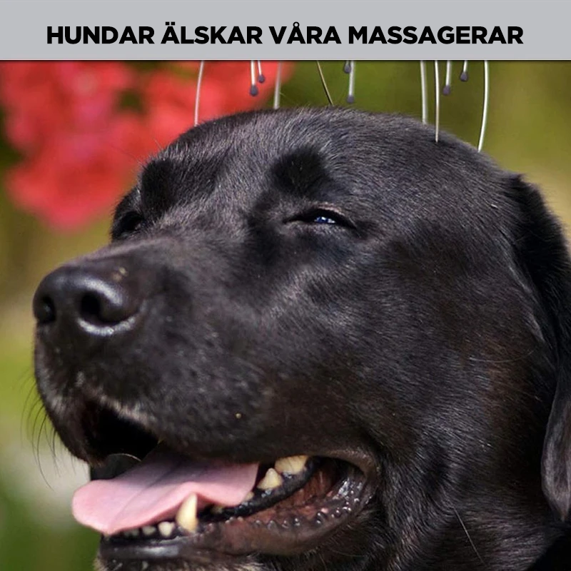 Haarstimulatie en ontspanning Handheld hoofdmassageapparaat