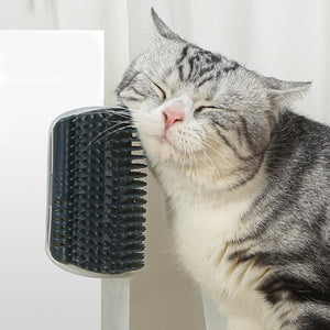 Kat Zelfverzorgende Borstel Perfect Massager hulpmiddel