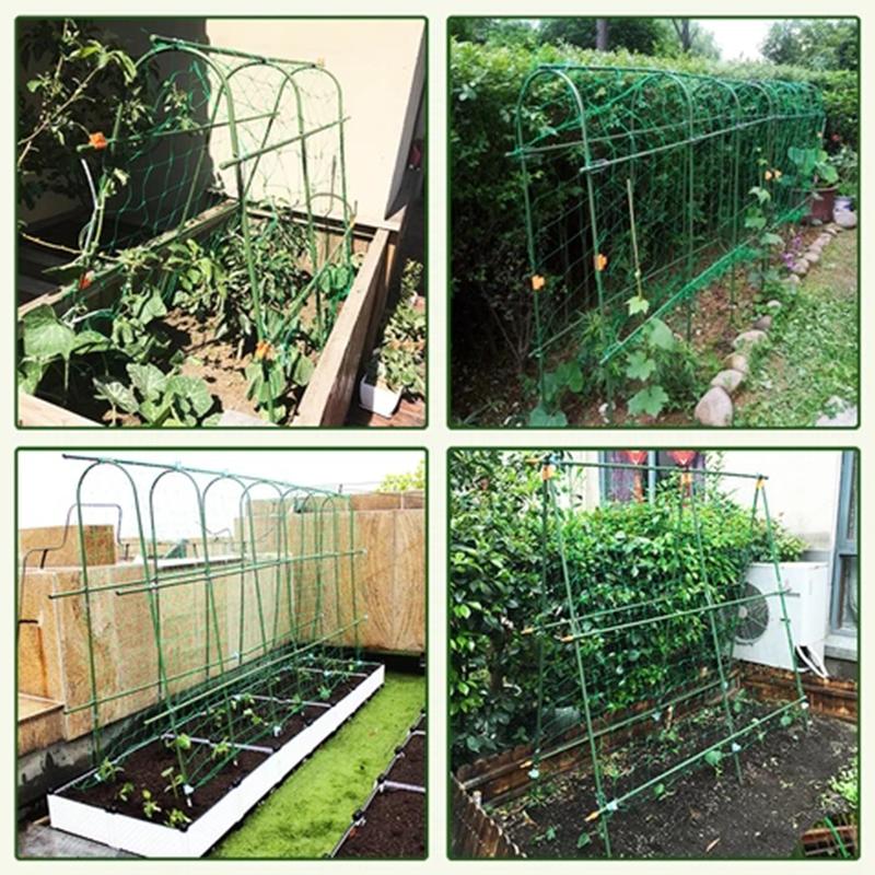 Plant verbindende gespen