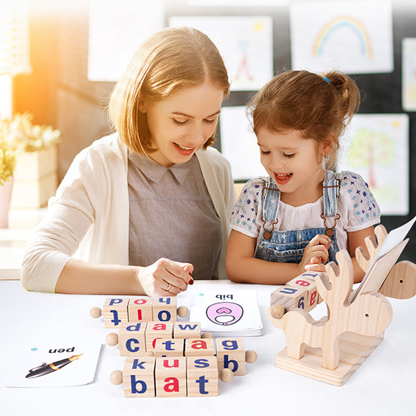 Houten leesblokken CVC Sight Words Game