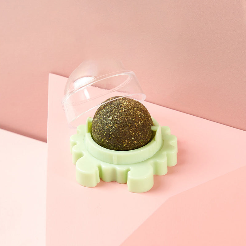 Katten knip muur Bal eetbaar katten speelgoed