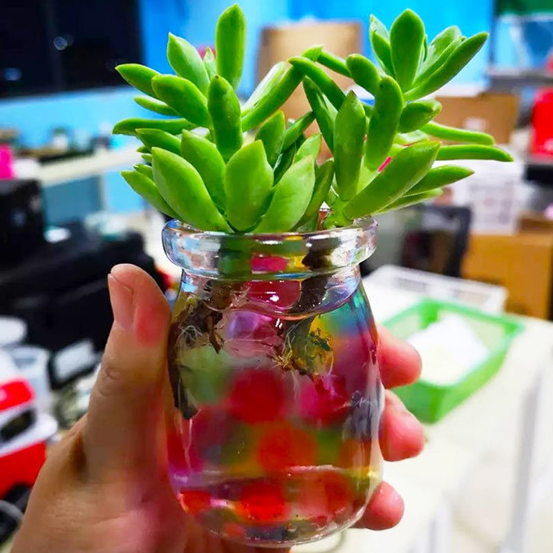 Kristallen waterkraal