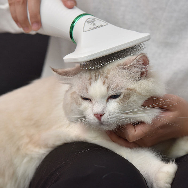 Huisdier Föhn Borstel