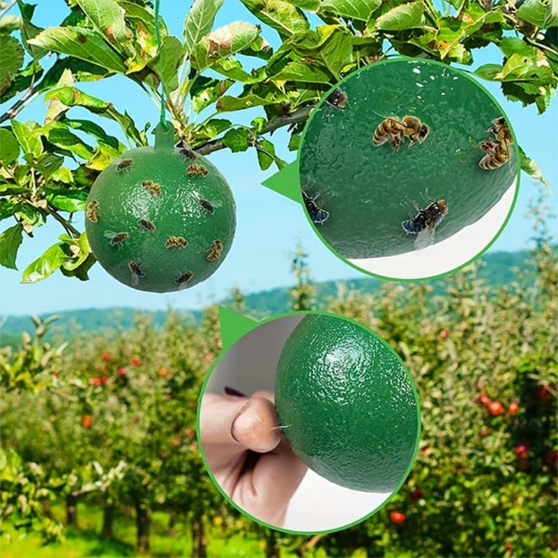 Opknoopbare Milieuvriendelijke Fruitvlieg Kleefvallen