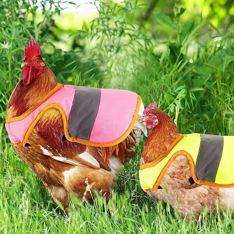 Verstelbaar kippenharnas Kip huisdier reflecterend vest