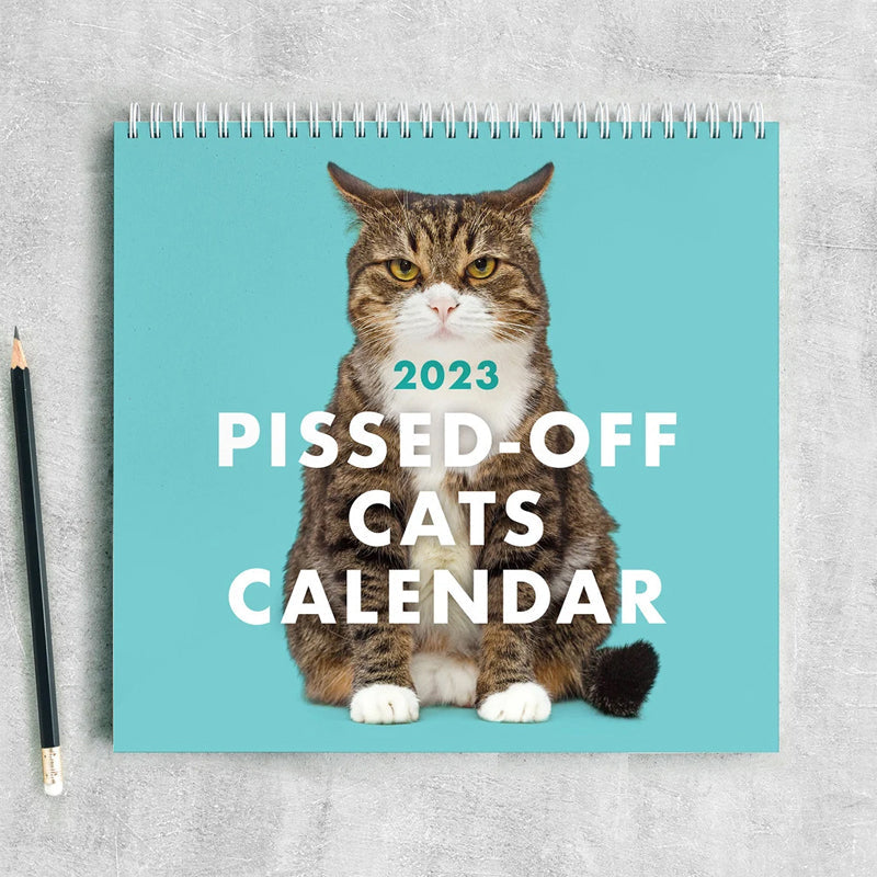 😾Kalender voor pissige katten 2024